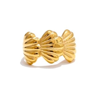 “la arena” ring